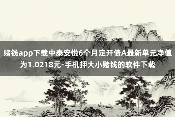 赌钱app下载中泰安悦6个月定开债A最新单元净值为1.0218元-手机押大小赌钱的软件下载