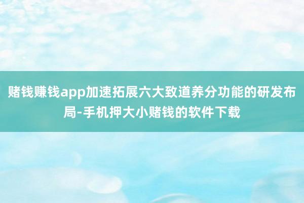 赌钱赚钱app加速拓展六大致道养分功能的研发布局-手机押大小赌钱的软件下载