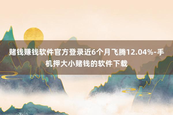 赌钱赚钱软件官方登录近6个月飞腾12.04%-手机押大小赌钱的软件下载