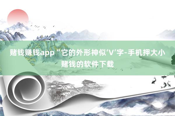 赌钱赚钱app“它的外形神似‘V’字-手机押大小赌钱的软件下载