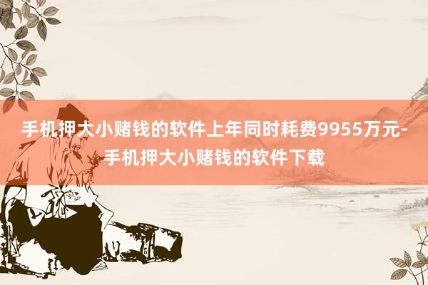 手机押大小赌钱的软件上年同时耗费9955万元-手机押大小赌钱的软件下载