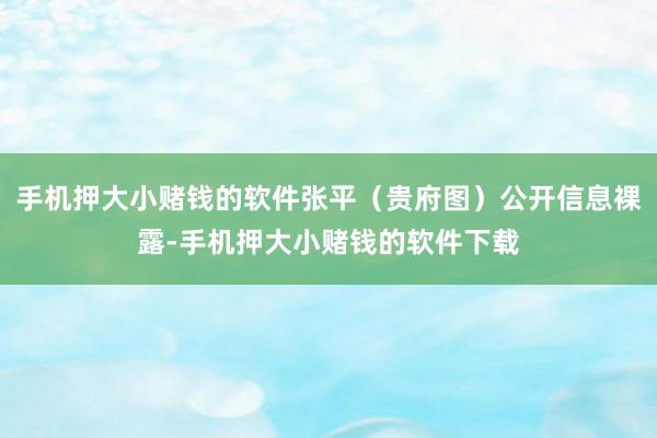 手机押大小赌钱的软件张平（贵府图）公开信息裸露-手机押大小赌钱的软件下载