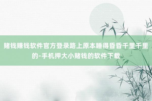赌钱赚钱软件官方登录路上原本睡得昏昏千里千里的-手机押大小赌钱的软件下载