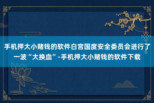 手机押大小赌钱的软件白宫国度安全委员会进行了一波“大换血”-手机押大小赌钱的软件下载