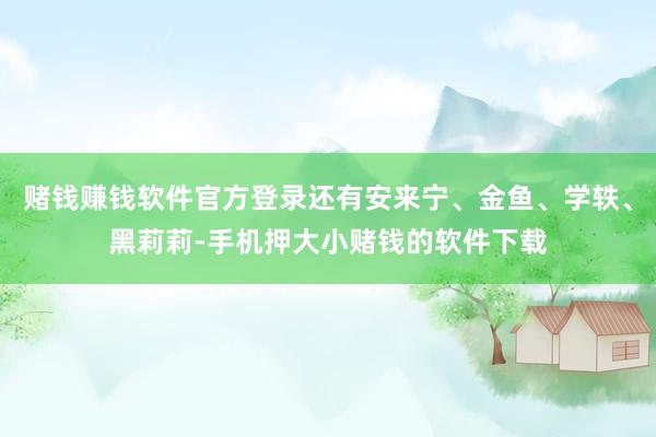 赌钱赚钱软件官方登录还有安来宁、金鱼、学轶、黑莉莉-手机押大小赌钱的软件下载