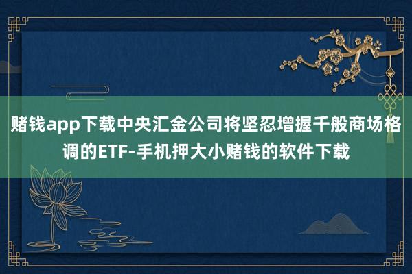 赌钱app下载中央汇金公司将坚忍增握千般商场格调的ETF-手机押大小赌钱的软件下载
