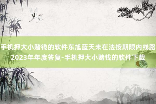 手机押大小赌钱的软件东旭蓝天未在法按期限内线路2023年年度答复-手机押大小赌钱的软件下载