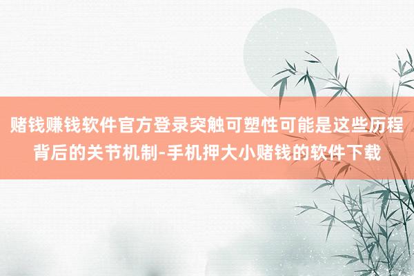 赌钱赚钱软件官方登录突触可塑性可能是这些历程背后的关节机制-手机押大小赌钱的软件下载