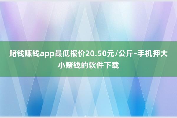 赌钱赚钱app最低报价20.50元/公斤-手机押大小赌钱的软件下载