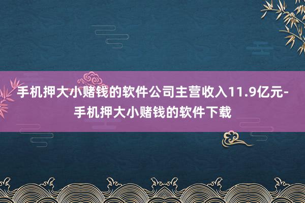 手机押大小赌钱的软件公司主营收入11.9亿元-手机押大小赌钱
