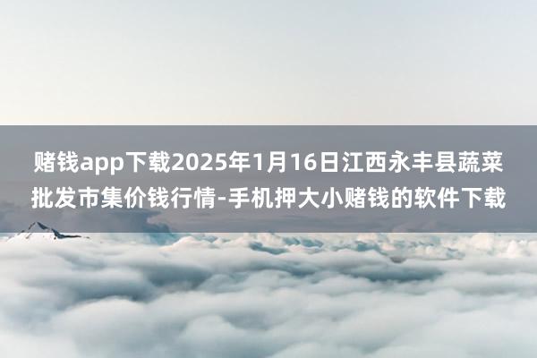 赌钱app下载2025年1月16日江西永丰县蔬菜批发市集价钱行情-手机押大小赌钱的软件下载