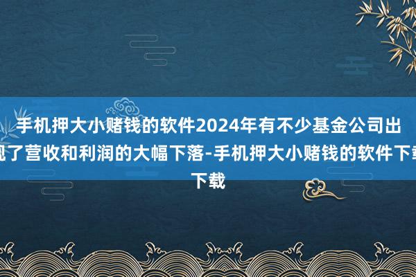手机押大小赌钱的软件2024年有不少基金公司出现了营收和利润的大幅下落-手机押大小赌钱的软件下载