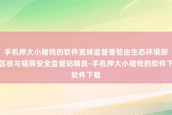 手机押大小赌钱的软件宽绰监督查验由生态环境部地区核与辐照安全监督站精良-手机押大小赌钱的软件下载