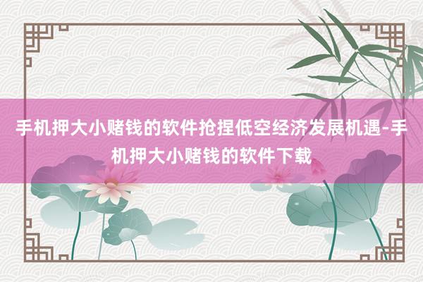 手机押大小赌钱的软件抢捏低空经济发展机遇-手机押大小赌钱的软件下载