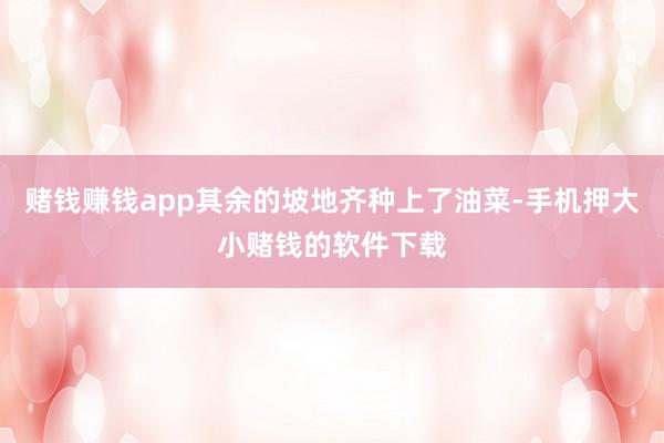 赌钱赚钱app其余的坡地齐种上了油菜-手机押大小赌钱的软件下载