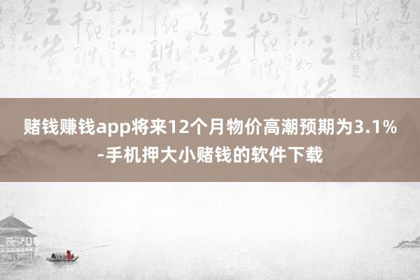 赌钱赚钱app将来12个月物价高潮预期为3.1%-手机押大小赌钱的软件下载