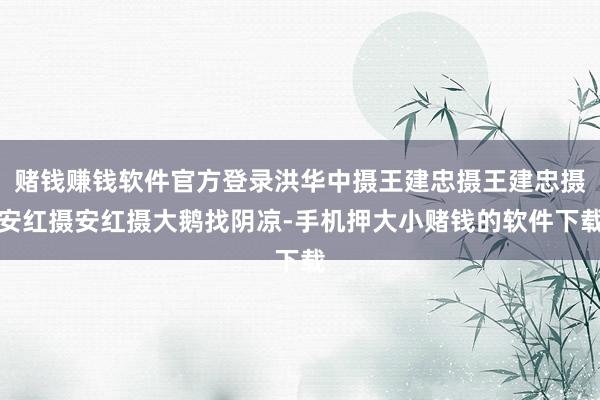 赌钱赚钱软件官方登录洪华中摄王建忠摄王建忠摄安红摄安红摄大鹅找阴凉-手机押大小赌钱的软件下载
