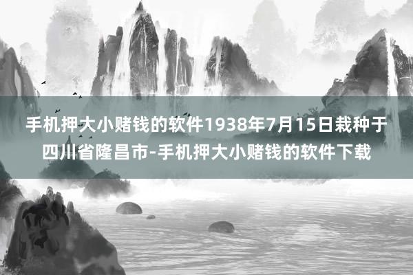 手机押大小赌钱的软件1938年7月15日栽种于四川省隆昌市-手机押大小赌钱的软件下载