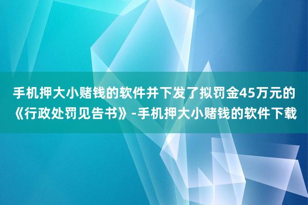 手机押大小赌钱的软件并下发了拟罚金45万元的《行政处罚见告书》-手机押大小赌钱的软件下载