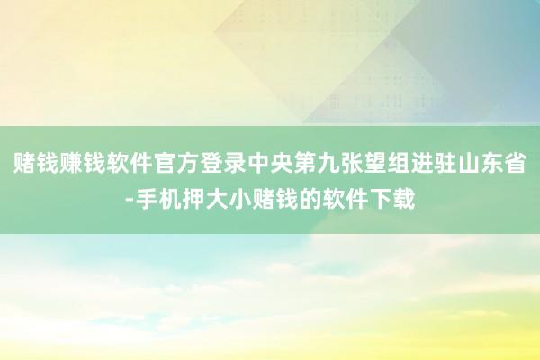 赌钱赚钱软件官方登录中央第九张望组进驻山东省-手机押大小赌钱