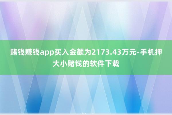 赌钱赚钱app买入金额为2173.43万元-手机押大小赌钱的