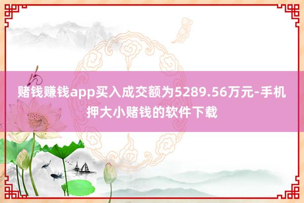 赌钱赚钱app买入成交额为5289.56万元-手机押大小赌钱