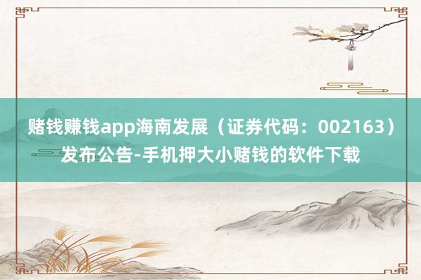 赌钱赚钱app海南发展（证券代码：002163）发布公告-手机押大小赌钱的软件下载