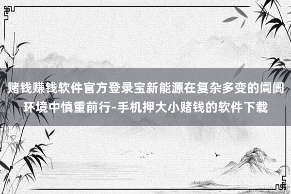 赌钱赚钱软件官方登录宝新能源在复杂多变的阛阓环境中慎重前行-手机押大小赌钱的软件下载