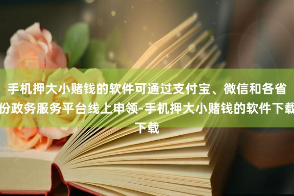 手机押大小赌钱的软件可通过支付宝、微信和各省份政务服务平台线上申领-手机押大小赌钱的软件下载