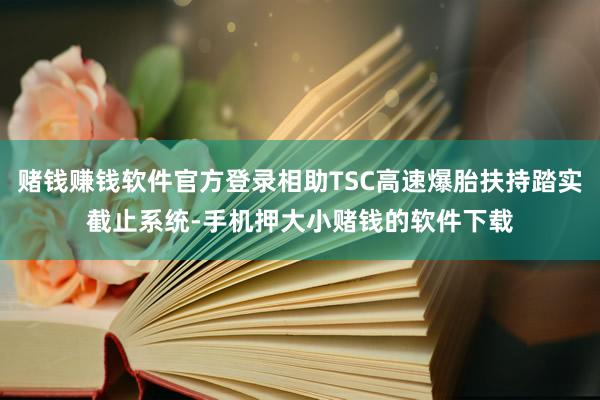 赌钱赚钱软件官方登录相助TSC高速爆胎扶持踏实截止系统-手机押大小赌钱的软件下载
