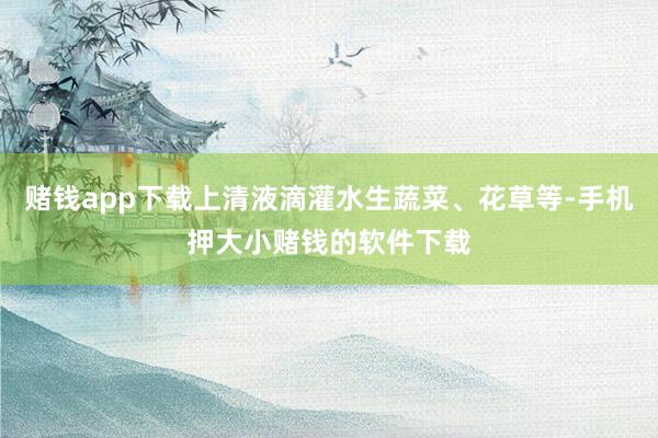 赌钱app下载上清液滴灌水生蔬菜、花草等-手机押大小赌钱的软件下载