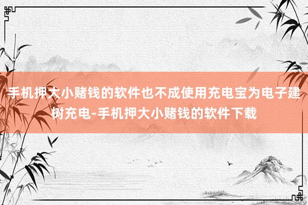 手机押大小赌钱的软件也不成使用充电宝为电子建树充电-手机押大小赌钱的软件下载